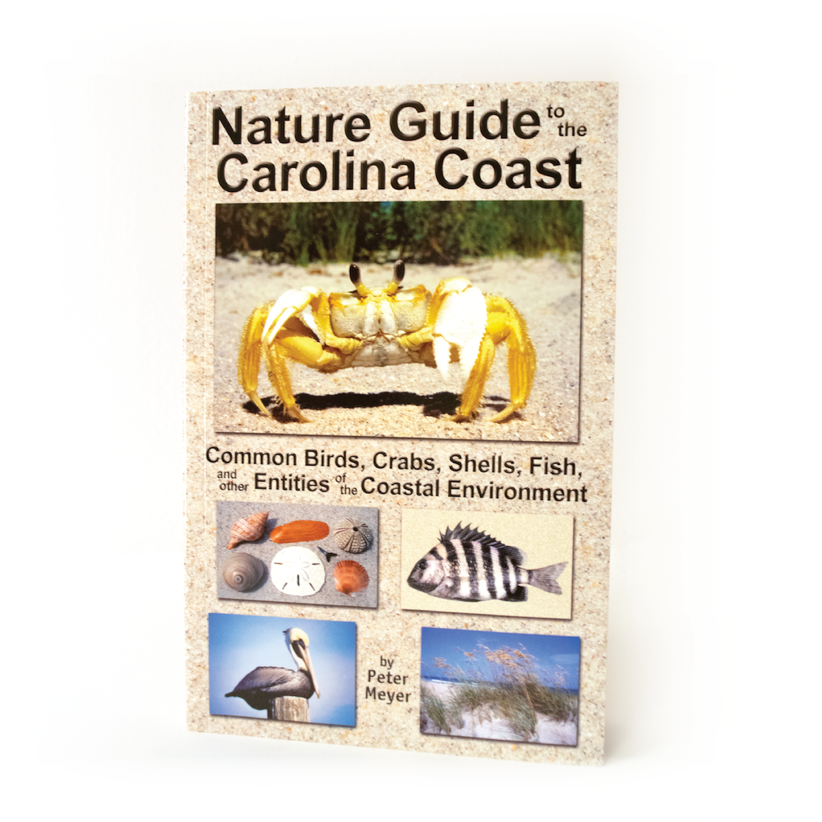Nature Guide to the Carolina Coast Avian-Cetacean Press