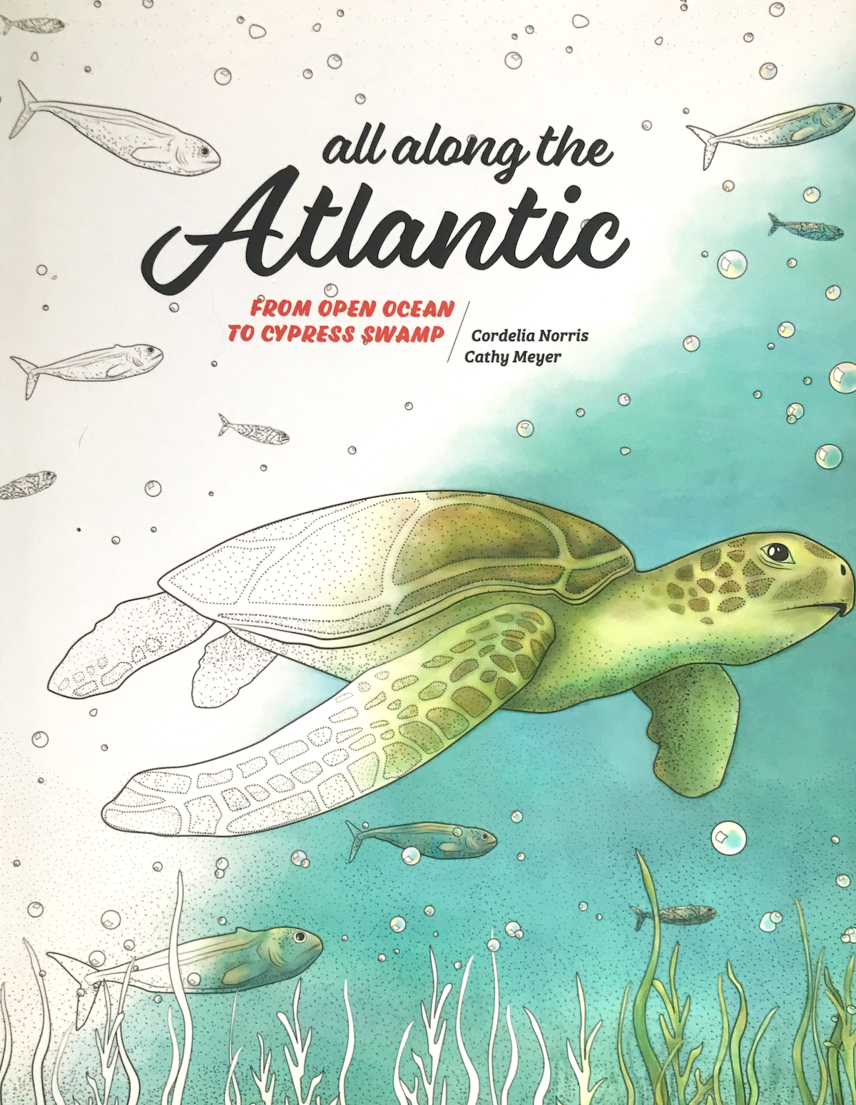 All Along The Atlantic Avian-Cetacean Press